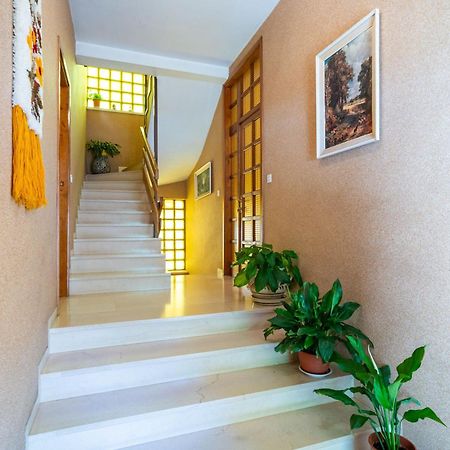 Apartments Villa Ivka Dubrovnik Buitenkant foto
