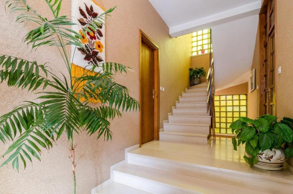 Apartments Villa Ivka Dubrovnik Buitenkant foto