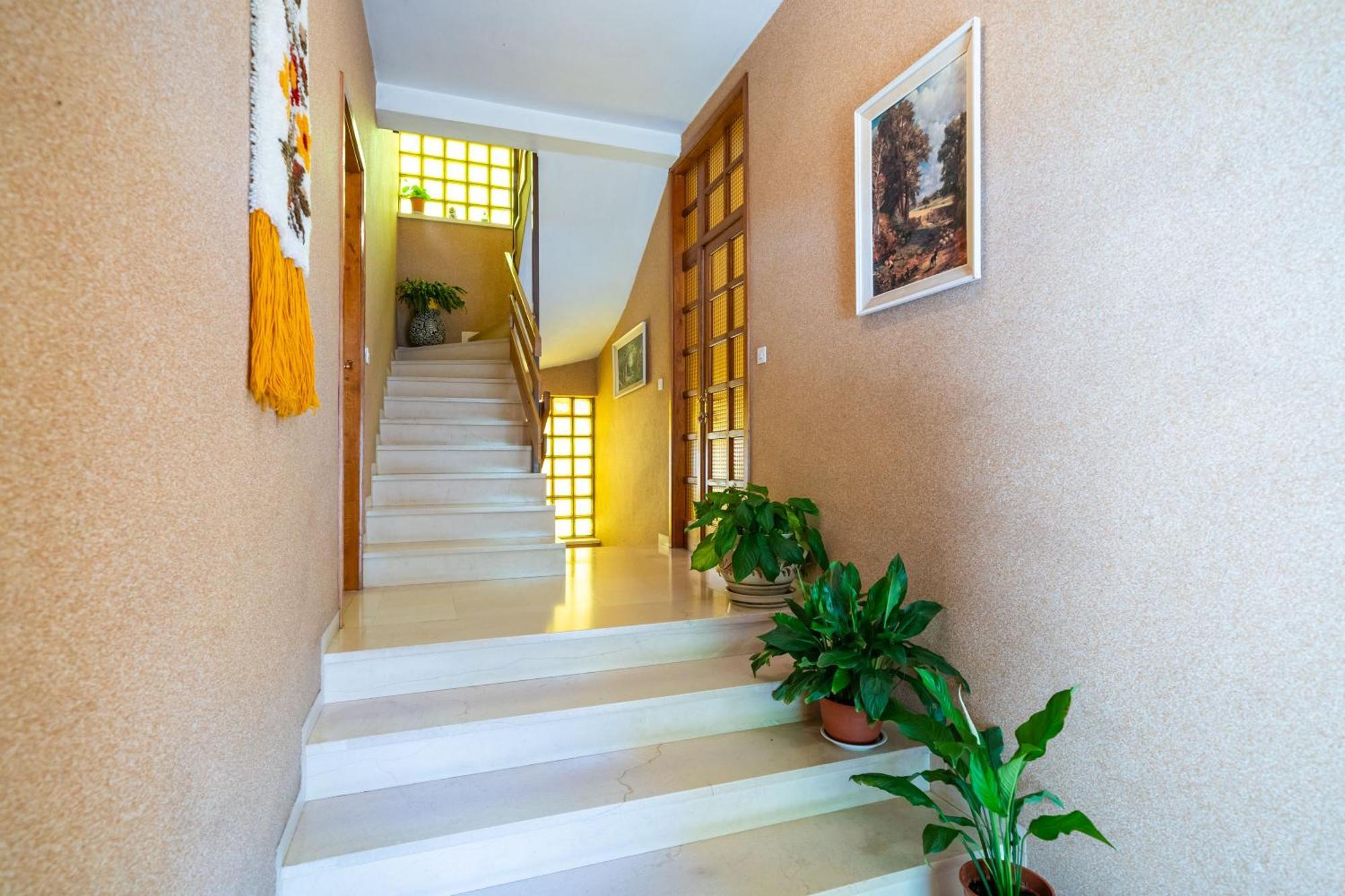 Apartments Villa Ivka Dubrovnik Buitenkant foto